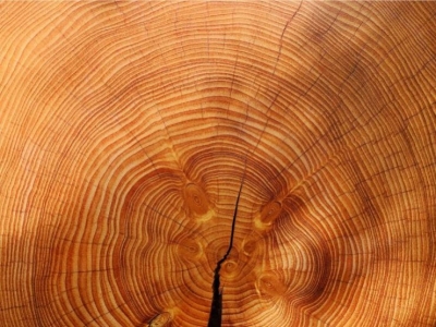 Arredare in Legno: qualche consiglio utile